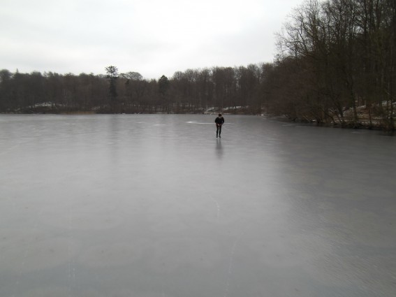 Løje sø ligger flot i skoven. (Foto: Henk, lørdag d. 28.01.2012, isen dengang 8 cm. nu +20?)